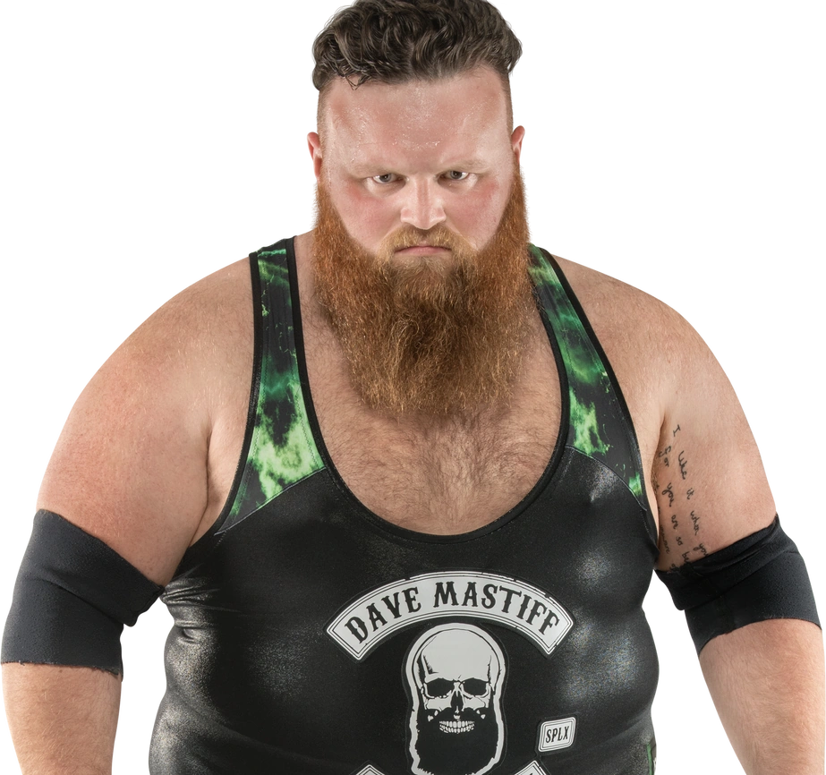 Dave Mastiff BRITISH BRAWLERS series 2 figure GALOOB STYLE
