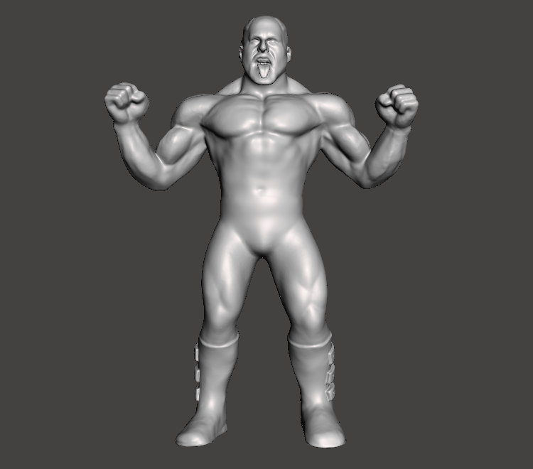 Hawk Legion Of Doom The Road Warriors WWE WCW Custom 3D Printed Galoob Scaled Figure