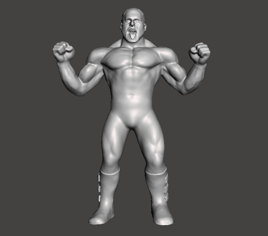 Hawk Legion Of Doom The Road Warriors WWE WCW Custom 3D Printed Galoob Scaled Figure