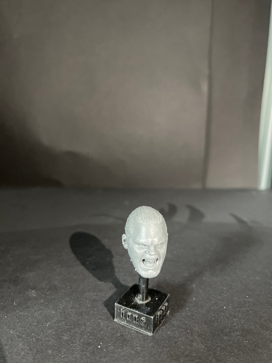 Shane Douglas WWE figures AEW custom 3D printed paint may vary Resin TNA