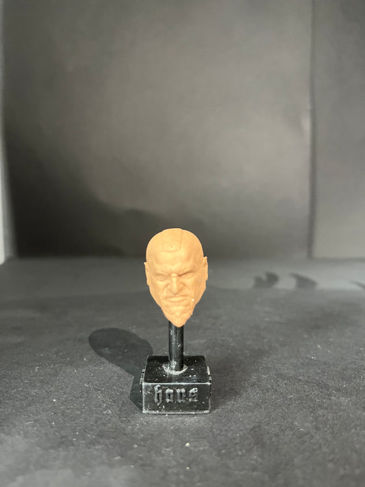 Taz WWE figures AEW custom 3D printed paint may vary Resin TNA