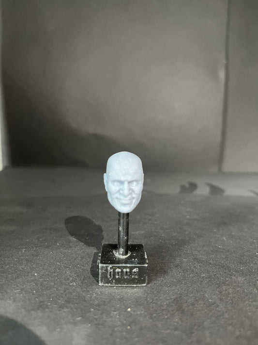 Ernest the cat Miller WWE figures AEW custom 3D printed paint may vary Resin TNA
