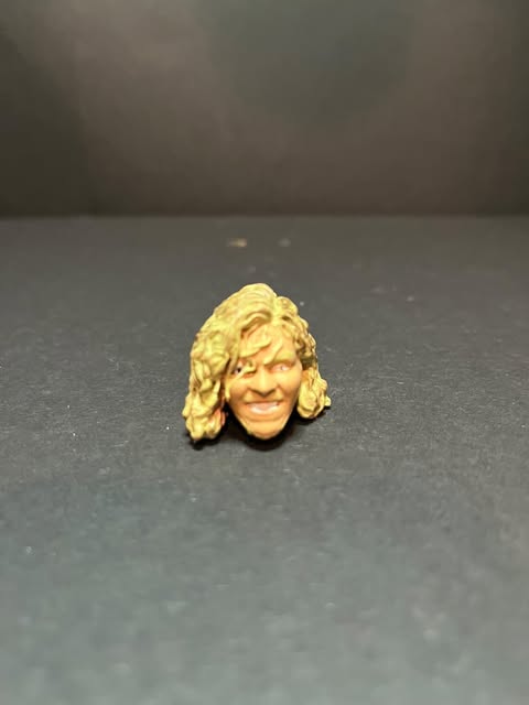 Brian F'N Pillman 3D Printed Head rare hand painted Resin