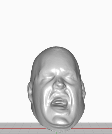 3D Printed King Kong Bundy Legends Head Rare Resin