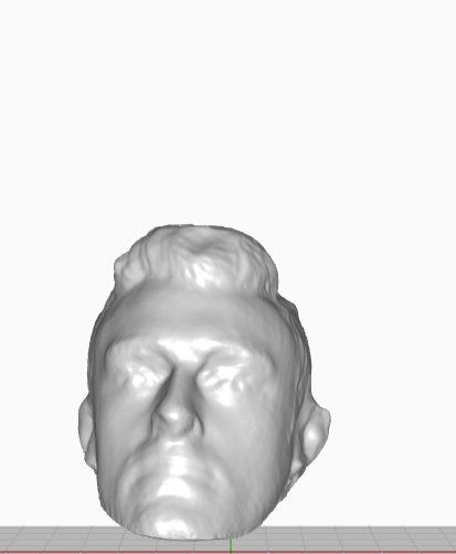 3D Printed Nick Aldis Magnus Head TNA