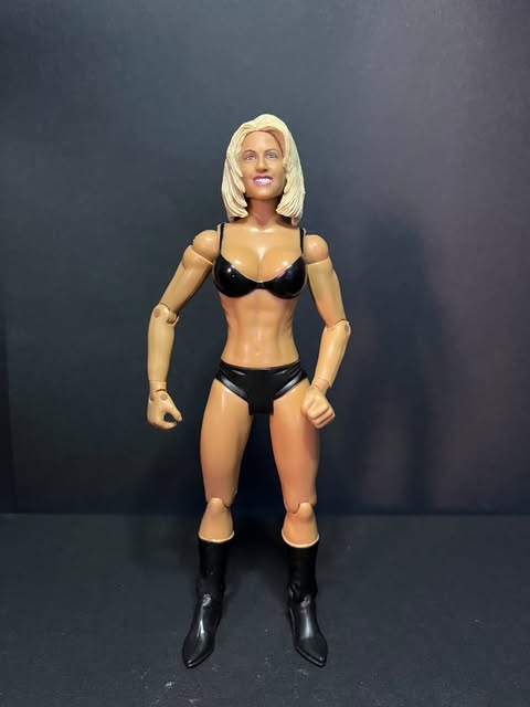 Sunny Tammy Lynch Classic Superstars Jakks LOD Bodydonnas