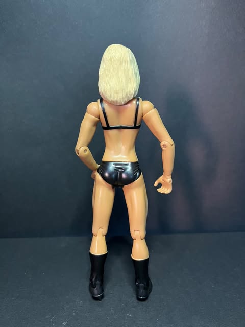 Sunny Tammy Lynch Classic Superstars Jakks LOD Bodydonnas